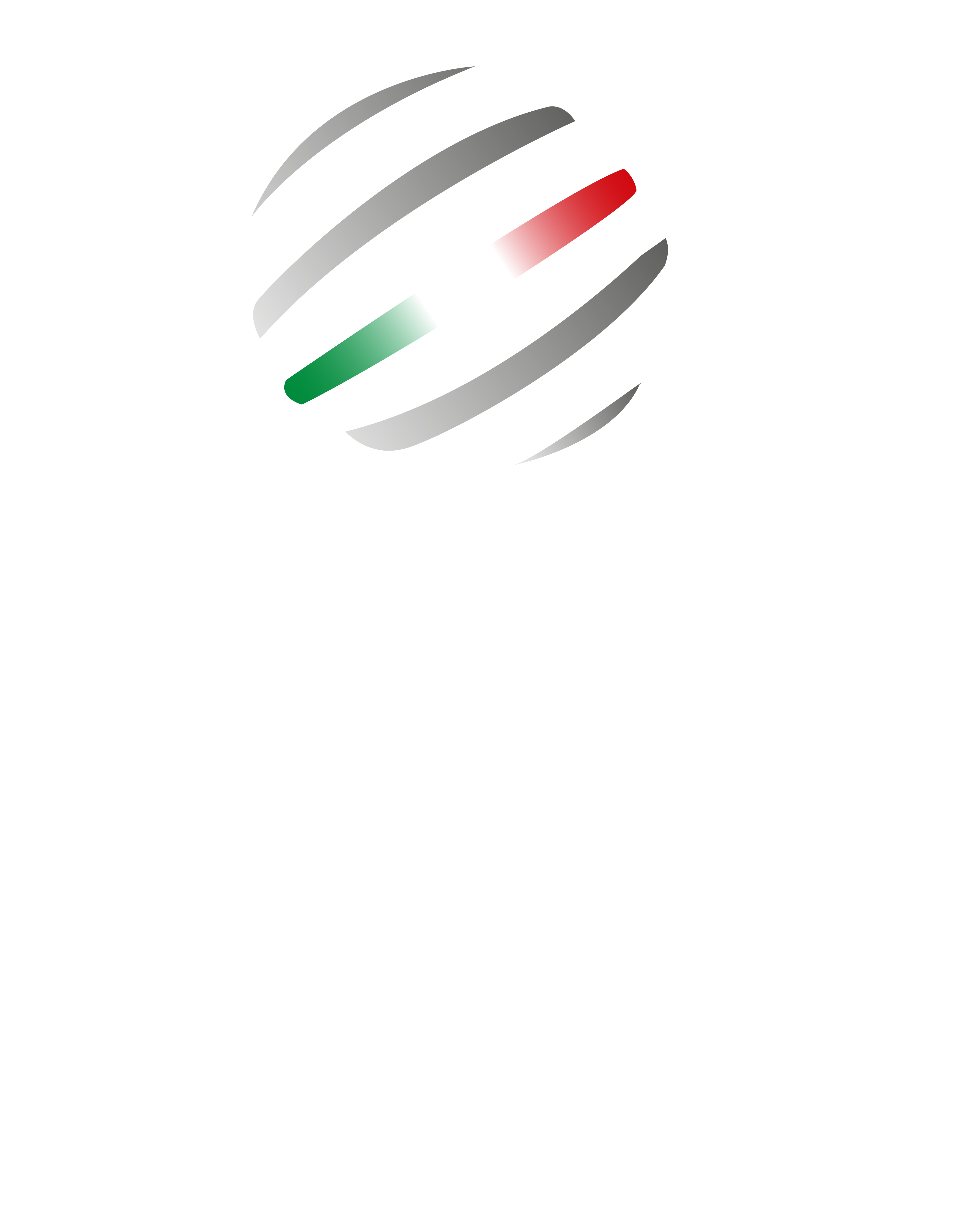 Comitato Italiano Paralimpico