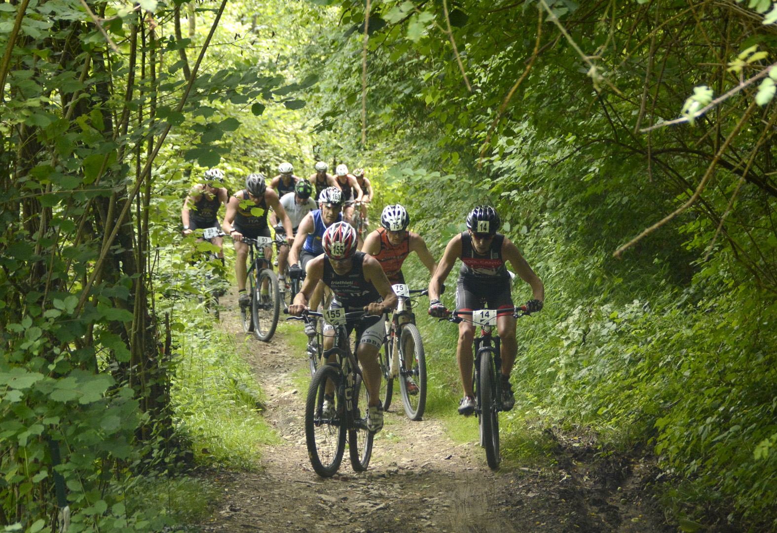 Lista iscritti Tricolori Triathlon Cross a Farra d’Alpago