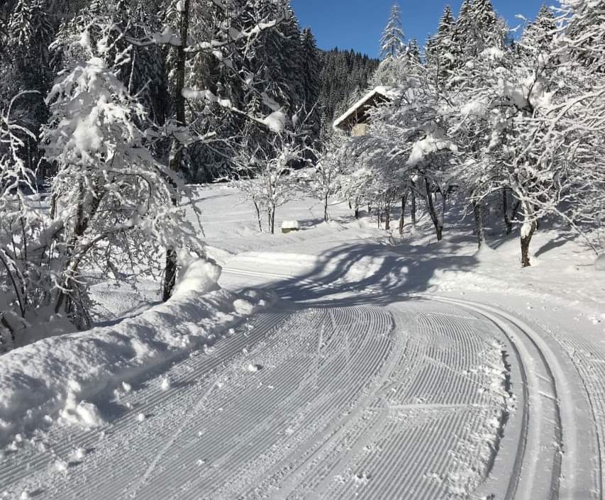 neve forni di sopra 2022 percorso fotoLoc