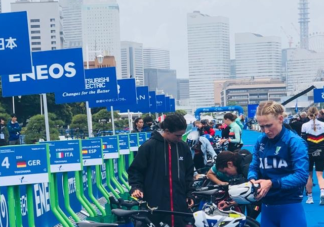 World Triathlon Championship Series, i risultati