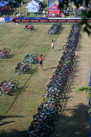mole del nera 13