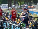 caorle qualifiche