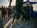 caorle qualifiche