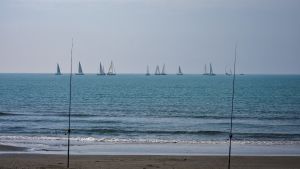 caorle qualifiche