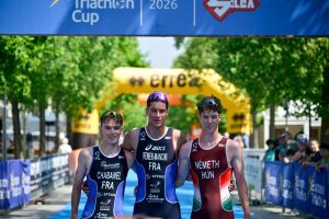 caorle qualifiche