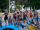 caorle qualifiche