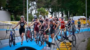 caorle qualifiche