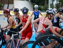 caorle qualifiche