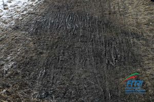 tiziano ballabio fitri