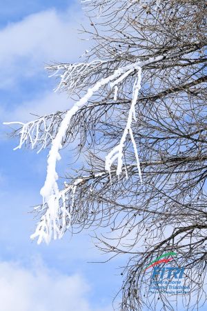 tiziano ballabio fitri