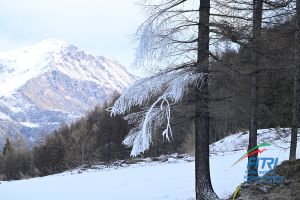 tiziano ballabio fitri