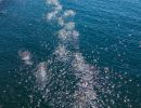 drone napoli  