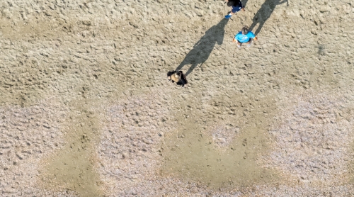 dji_20250906092820_0022_d_ale