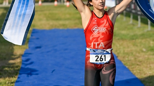 _ale8567