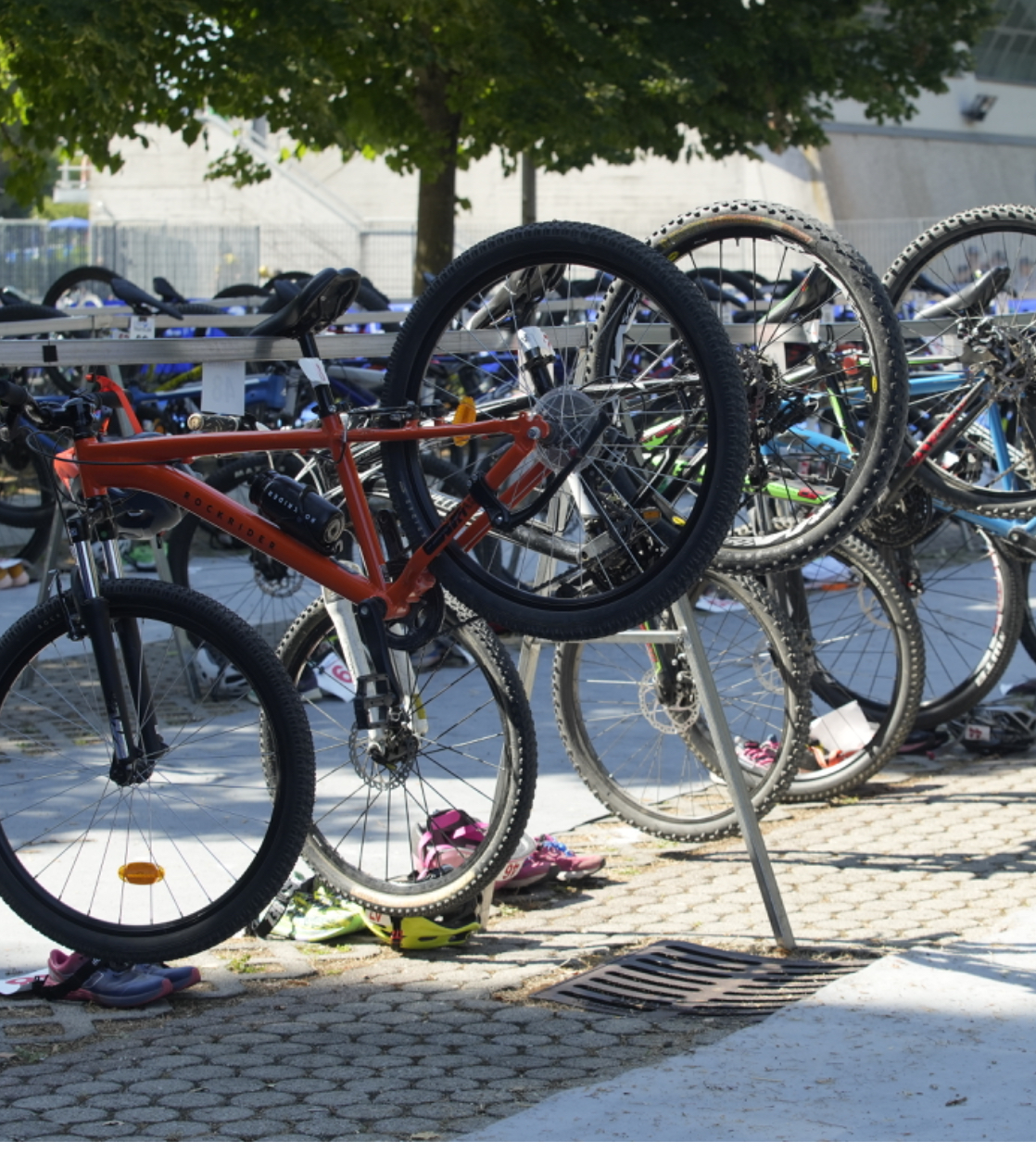 I campioni regionali di Triathlon Sprint, SuperSprint e Kids